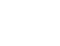 Ingress Resistance Bulgaria Logo